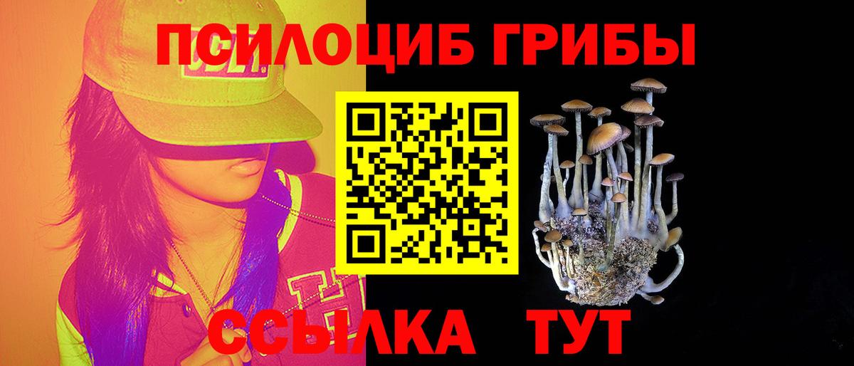 Галлюциногенные грибы Psilocybe  Псилоцибиновые грибы Psilocybe  цены   Вход с VPN  Котельники 